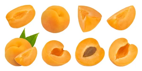 Pitted Apricot Slices White Isolated Background Apricot Slices Pits Leaves — Stock Photo, Image