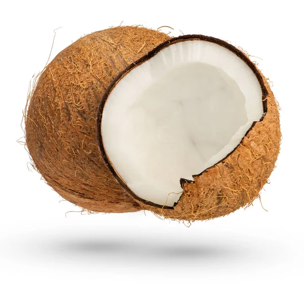 白い孤立した背景に2つのココナッツ 全体のココナッツと半分のココナッツの影を閉じるまでキャストします 高品質の写真 様々な形のココナッツの分離 高品質の写真 — ストック写真