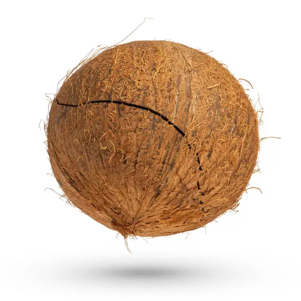 在白色孤立的背景上破碎的椰子 一个破碎的椰子挂或掉下 投下了一个阴影特写 在白色背景下 — 图库照片