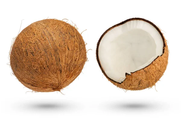 两个椰子在一个白色孤立的背景上 一个完整的椰子和半个椰子投下了阴影特写 高质量的照片 从各种形状的椰子中分离出来 高质量的照片 — 图库照片