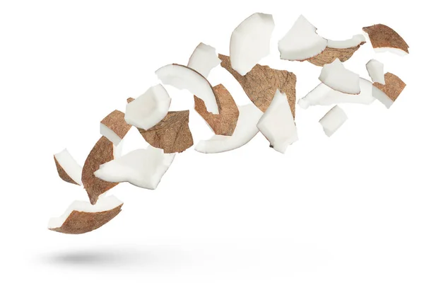 Coconut Slices White Isolated Background Coconut Slices Scatter Different Directions Stock Image