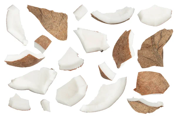 Set Pieces Coconut White Isolated Background Different Pieces Coconut Crust Stock Image