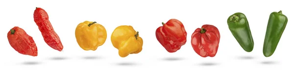 一组不同品种 不同颜色 不同尺寸的辣椒 在白色背景上隔离 红色和黄色的哈巴内罗胡椒豆荚和绿色的加拉帕诺胡椒豆荚 东方料理的香料配料 — 图库照片