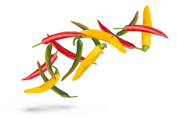 Pods Different Colors Hot Peppers Various Sizes Shapes Fall White — Stock Photo, Image
