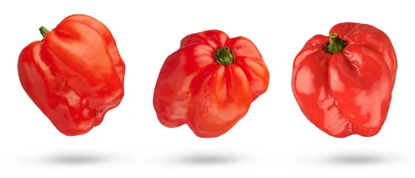 Flying Peppers Habanero Peppers White Isolated Background Peppers Different Sides — Stock Photo, Image