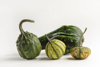 Beyaz izole bir zemin üzerinde dekoratif balkabakları seti. Farklı boyutlarda çok renkli balkabakları ve farklı taraflardan yakın plan bir gölge oluşturur. Cadılar Bayramı konsepti. Yüksek kalite fotoğraf