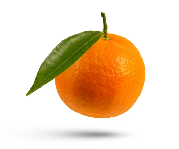 整个橘子 叶子在白色的孤立的背景上 有叶子的切线悬垂或落下 投下阴影特写 高质量的照片 — 图库照片