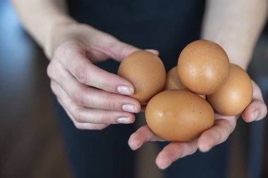 Tavuk yumurtalarını yakından tutan kadın. Konuklara taze tavuk yumurtası servis edilecek. Yüksek kalite fotoğraf