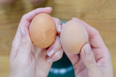 Bir kadın eli haşlanmış yumurtayı soyar, kabuğunu yakın plan çeker. Haşlanmış yumurta şeklinde bir aperatif. Yüksek kalite fotoğraf