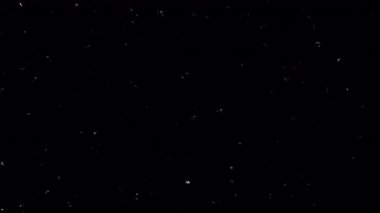 Siyah zemin üzerinde film tahılları ve sinyal gürültüsünün animasyon örtüsü. Analog çarpıtmalı dinamik video dokusu, dijital objeler, toz parçacıkları, düzenleme ve biçimlendirilmiş projeler için hata etkisi,