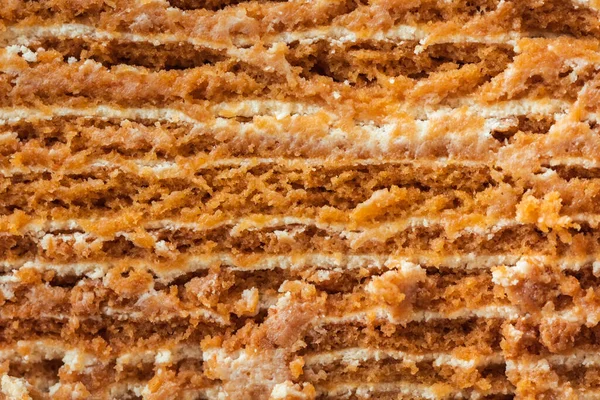 Traditional honey cake. Close up of layered cake slice with honey base and white sour cream filling. Macro shot of cake cut as a textured background
