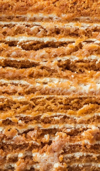 Traditional honey cake on white background. Close up of layered cake slice with honey base and white sour cream filling. Macro shot of cake cut as a textured background