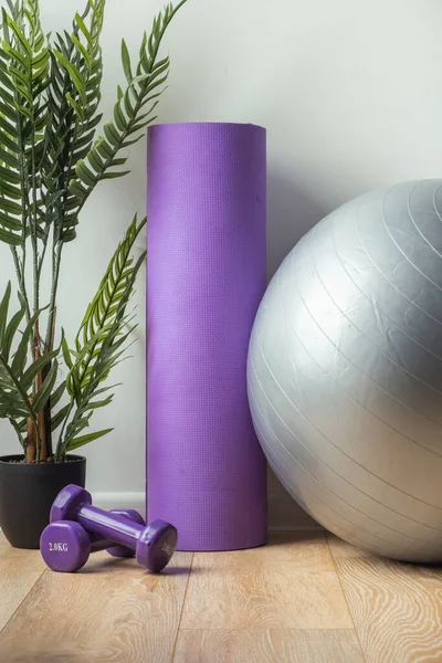 Light and heavy steel dumbbells, fitness ball and other sports equipment on the wooden floor in the gym. Fitness gear in the home interior. Training at home concept