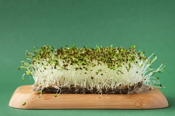 Macro Shot Alfalfa Microgreen Sprouts Bamboo Wooden Board Green Background — Stockfoto