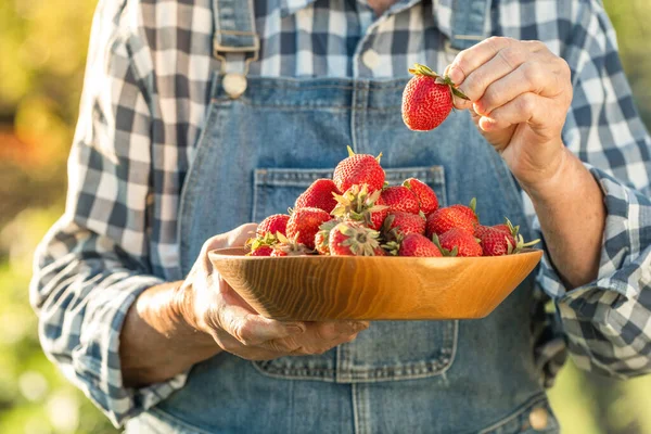 Caucasian Woman Holding Wooden Bowl Full Freshly Picked Strawberries Garden — Stock Photo, Image