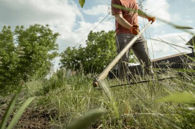 Çiftçi sıcak yaz gününde çimleri klasik tırpanla biçiyor. Çiftlik arazilerindeki çimleri biçmenin geleneksel yolu
