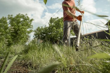 Çiftçi sıcak yaz gününde çimleri klasik tırpanla biçiyor. Çiftlik arazilerindeki çimleri biçmenin geleneksel yolu