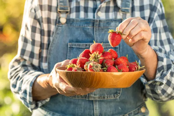 Caucasian Woman Holding Wooden Bowl Full Freshly Picked Strawberries Garden — Stock Photo, Image