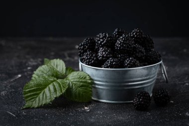 Metal bir kasede taze toplanmış böğürtlenler ve kapkara arka planda yeşil yapraklar.