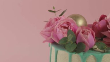 Taze pembe güller ve turkuaz çikolata damlalarıyla süslenmiş beyaz çikolata kadife kaplı yıldönümü pastasının kayan görüntüleri. Pembe arka plandaki bir kız için doğum günü pastası