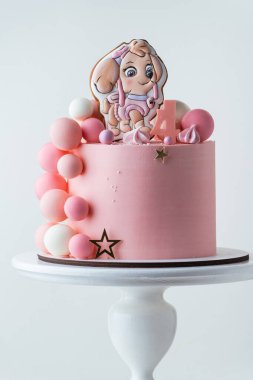 Kyiv, Ukrayna - 09 Mart 2025: Paw Patrol çizgi dizisinin küçük bir hayranı için pembe doğum günü pastası köpek yavrusu Skye ve çikolata küreleri şeklinde zencefilli kurabiye ile süslenmiş televizyon dizisi