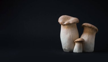 Siyah arkaplanda çiğ pleurotus eryngii mantarları var. Taze Kral istiridye mantarının detaylı fotoğrafını çek.