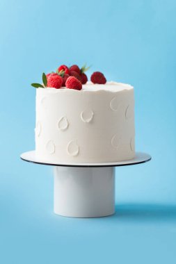 Taze ahududu ve böğürtlenlerle süslenmiş beyaz krem peynirli doğum günü pastası. Mavi arka planda kırmızı ve siyah böğürtlenli zarif yaz pastası