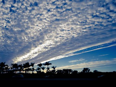 Alacakaranlıkta palmiye ağaçlarının üzerinde yoğun bulutlarla dramatik bir gökyüzü. Tampa, FL.