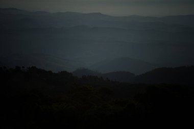 Dalgalı yeleli güzel siyah bir at. Seçici odak, atın zarafetini vurgular, bulanık yeşil arka plan ise çarpıcı görünümünü güçlendirir.