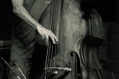 Dalgalı yeleli güzel siyah bir at. Seçici odak, atın zarafetini vurgular, bulanık yeşil arka plan ise çarpıcı görünümünü güçlendirir.