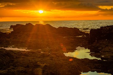 Dalgalı yeleli güzel siyah bir at. Seçici odak, atın zarafetini vurgular, bulanık yeşil arka plan ise çarpıcı görünümünü güçlendirir.