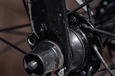 Dalgalı yeleli güzel siyah bir at. Seçici odak, atın zarafetini vurgular, bulanık yeşil arka plan ise çarpıcı görünümünü güçlendirir.