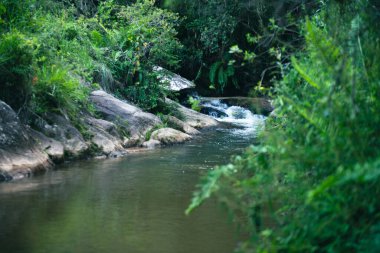 Bereketli yeşil bitki ve kayaların arasından akan sakin bir dere doğanın güzelliğini gözler önüne seriyor. Temiz su ve etrafındaki bitki örtüsü ferahlatıcı ve huzurlu bir manzara yaratır..