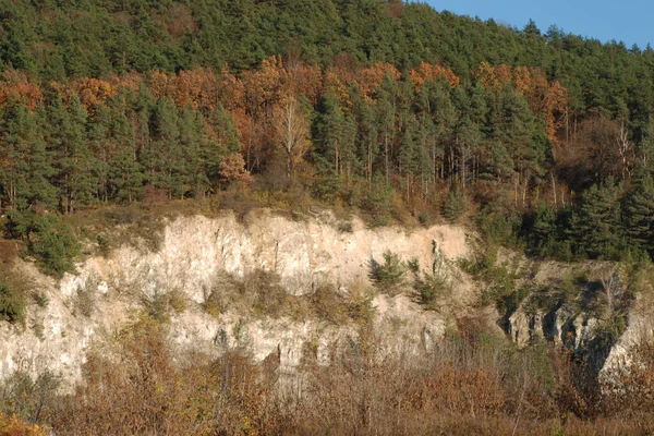 Old Abandoned Chalk Quarry Old Mixed Autumn Forest — Stock Photo, Image
