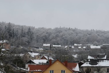 Kış Ormanı. Ukrayna köyünde ahşap ev. Köyün dışında, çevrede, şehrin dışında.