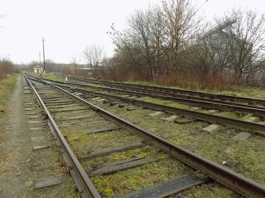 Demiryolu şubesi, genel görüş          