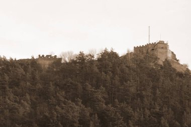 General view of the Castle Hill.General view of the Castle Hill