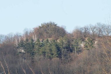 Kayalık Dağlar başında