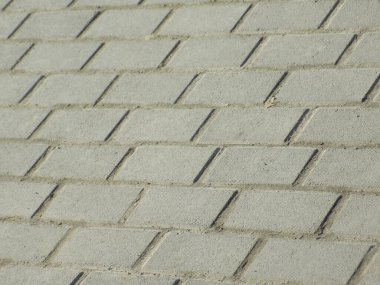 Paving tile is a modern material for covering sidewalks, streets, approaches to buildings