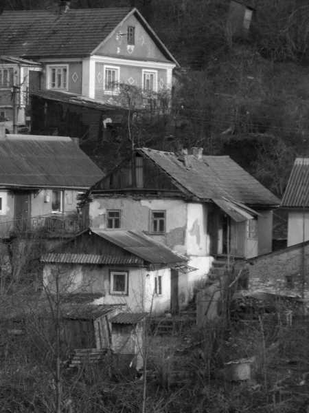 Kış Ormanı Ukrayna Köyünde Ahşap Köyün Dışında Çevrede Şehrin Dışında — Stok fotoğraf