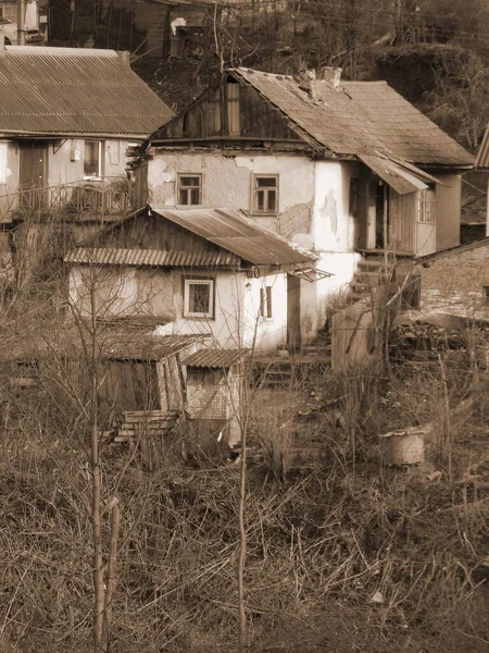 Kış Ormanı Ukrayna Köyünde Ahşap Köyün Dışında Çevrede Şehrin Dışında — Stok fotoğraf