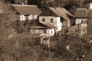 Kış Ormanı. Ukrayna köyünde ahşap bir ev. Köyün eteklerinde.