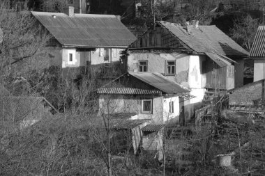 Kış Ormanı. Ukrayna köyünde ahşap bir ev. Köyün eteklerinde.