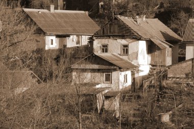 Kış Ormanı. Ukrayna köyünde ahşap bir ev. Köyün eteklerinde.
