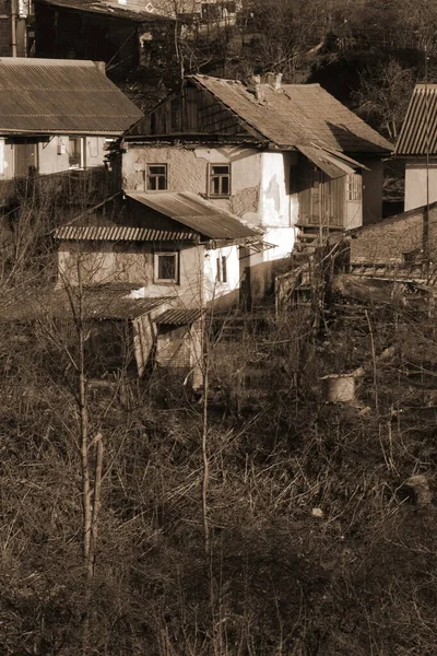 Zimní Les Dřevěný Dům Ukrajinské Vesnici Okraji Obce — Stock fotografie