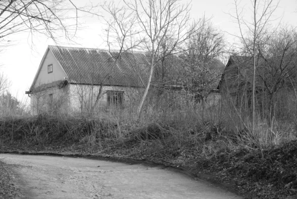 Winterwald Holzhaus Der Ukrainischen Dorf Rande Des Dorfes — Stockfoto