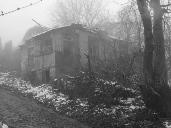 Brouillard Sur Maison Forêt Hiver Maison Bois Dans Village Ukrainien — Photo