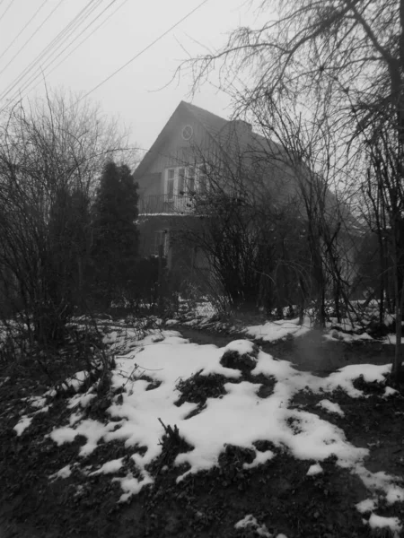 Mgła Nad Domem Zimowy Las Drewniany Dom Ukraińskiej Wsi Obrzeżach — Zdjęcie stockowe