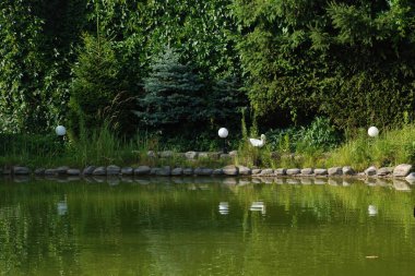 Göletin üzerine park et.