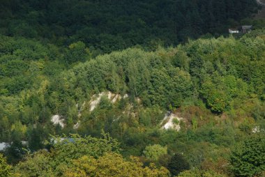 Kış ormanı, genel manzara. Eski, terk edilmiş bir tebeşir ocağı. Eski karışık sonbahar ormanı.